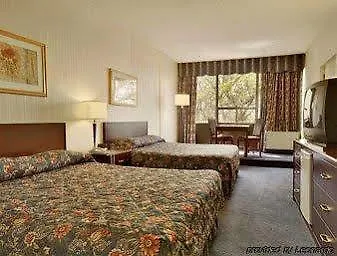 Toronto Plaza Airport Hotel